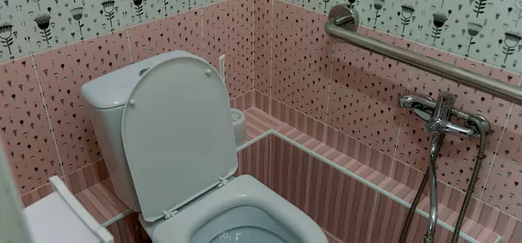 Meeting Diverse Needs With Accessible Restroom Solutions in West Hollywood, CA