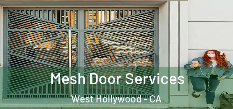 Mesh Door Services West Hollywood - CA